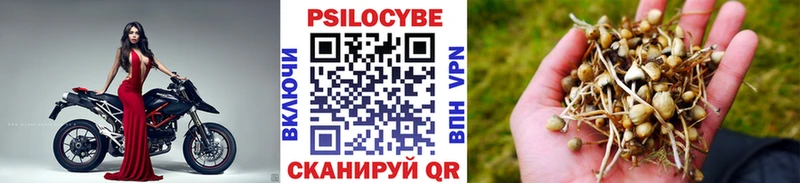 Галлюциногенные грибы Psilocybe Светлый